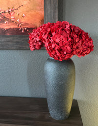 Dried hydrangea heads on the stem