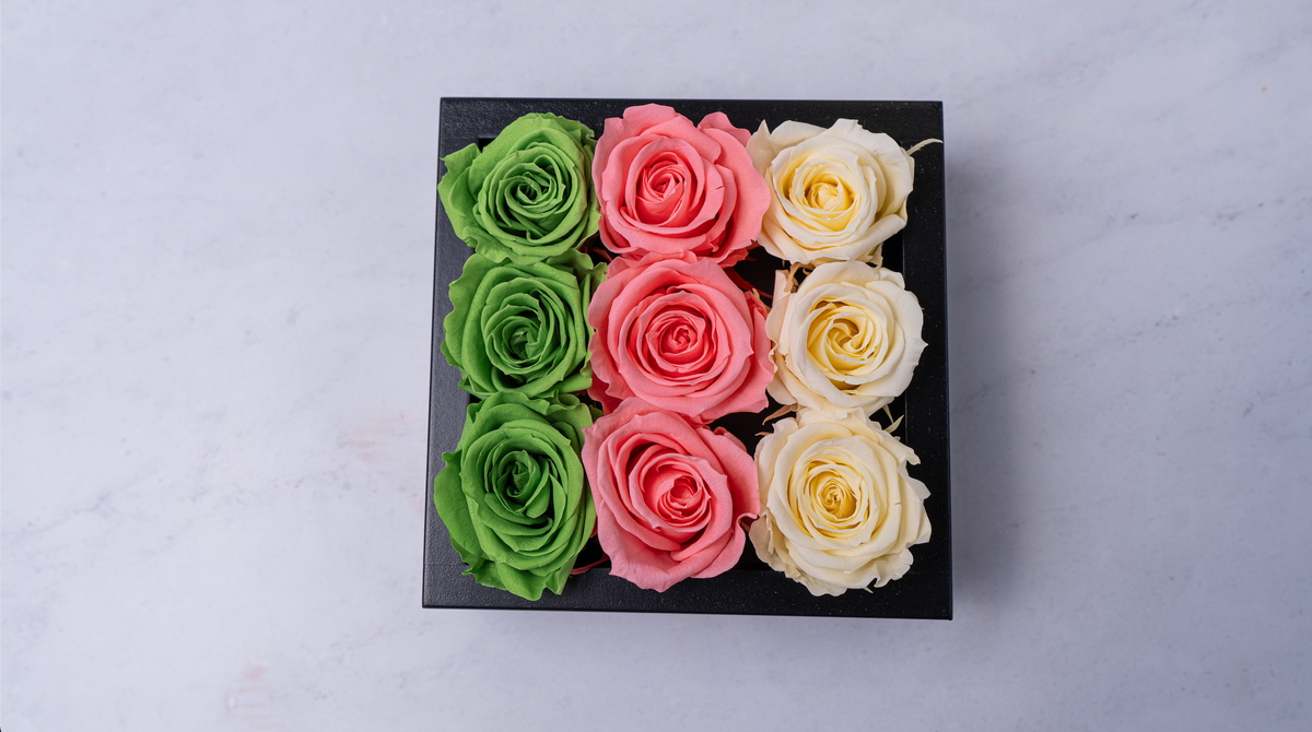 Gift boxes