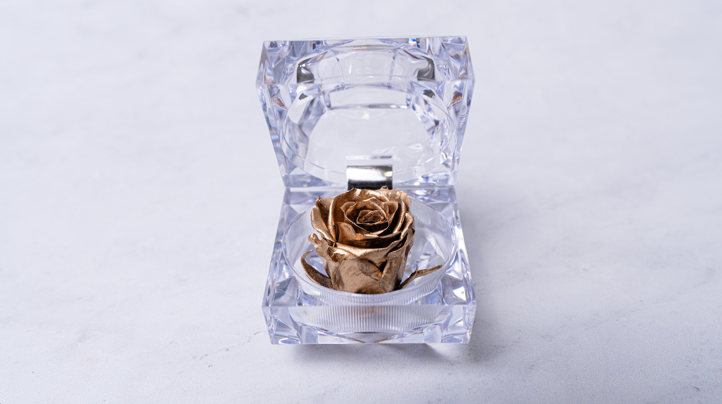 Rose Jewel Box