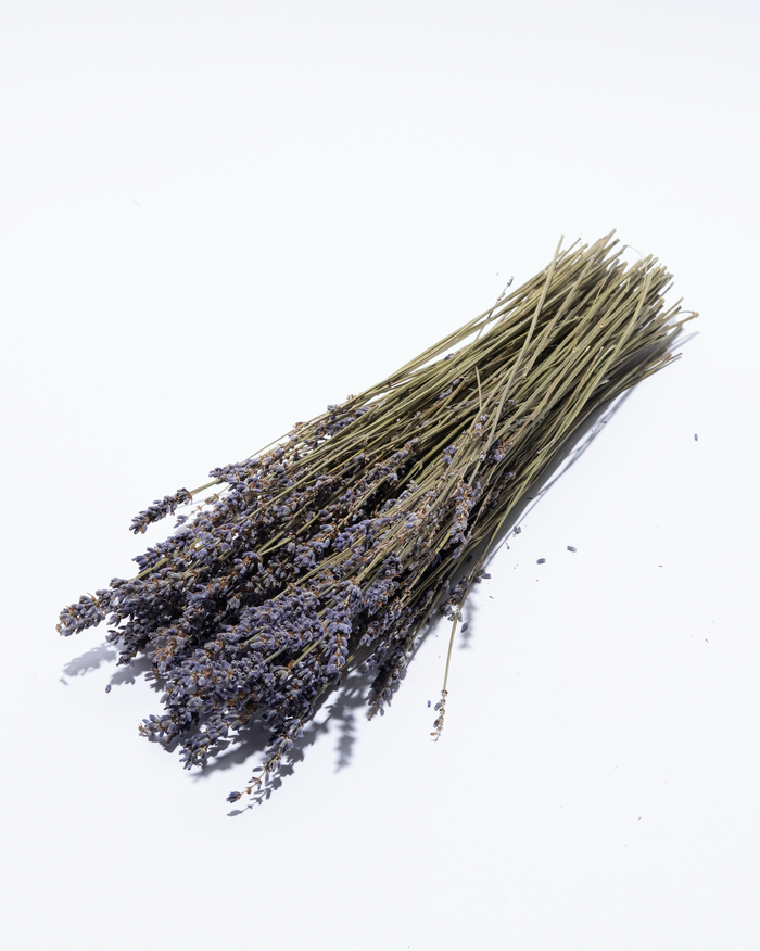 Bunch of dried purple lavender stems