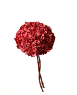 Pink Framboise
