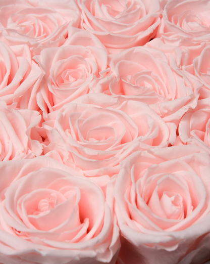Hat Box - Pink Champagne