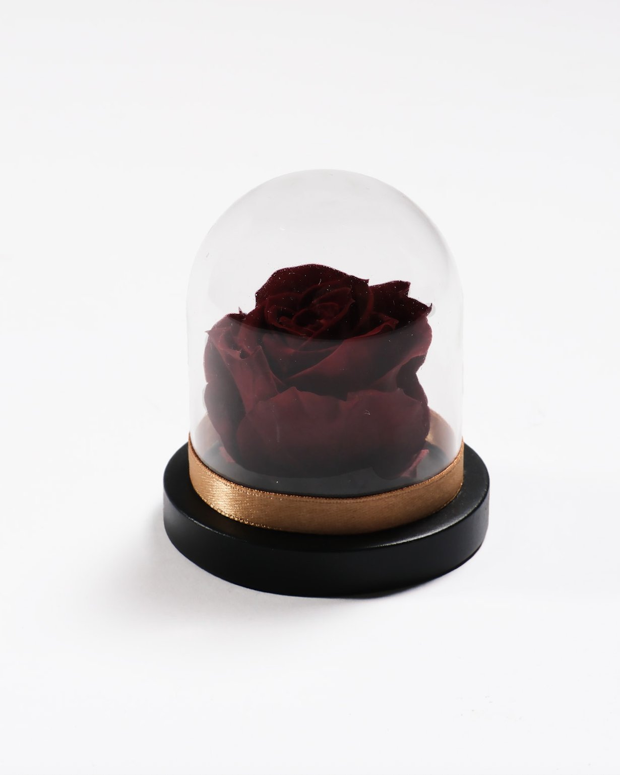 Mini Rose Dome