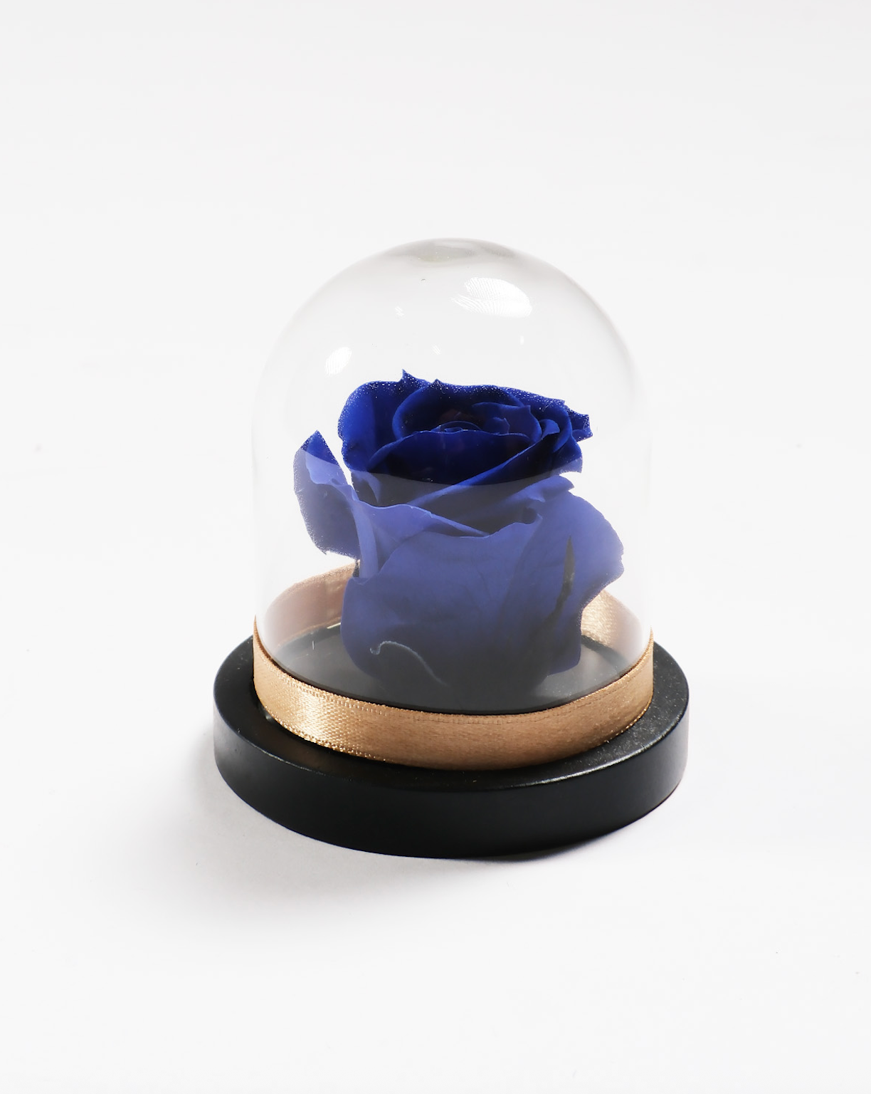 Mini Rose Dome