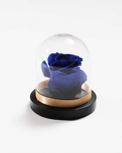 Mini Rose Dome
