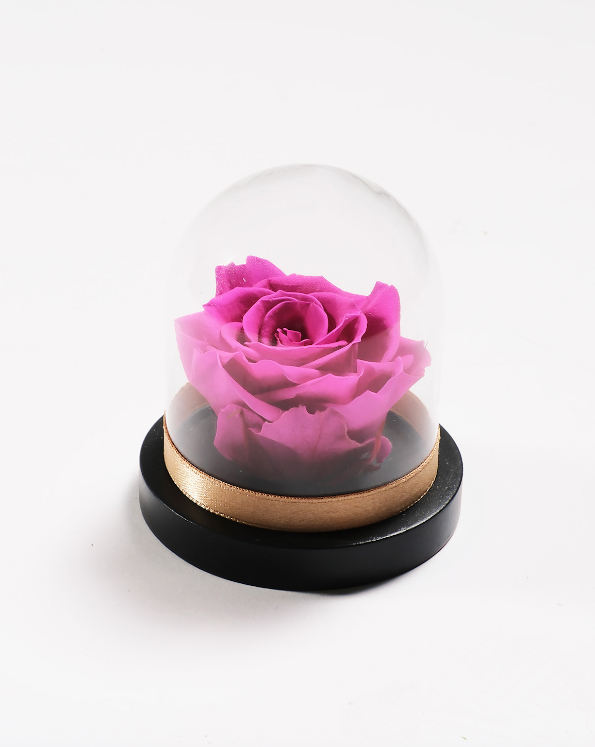 Mini Rose Dome