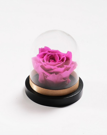 Mini Rose Dome