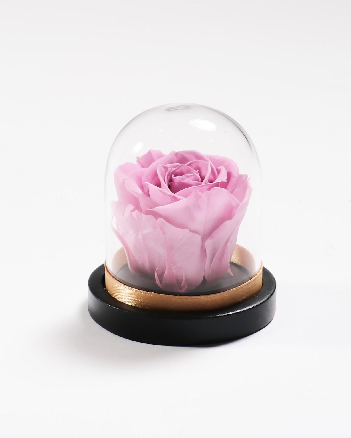 Mini Rose Dome