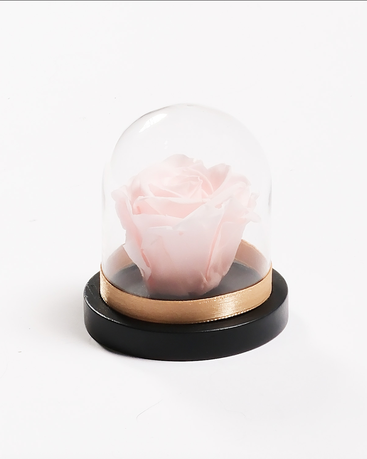 Mini Rose Dome