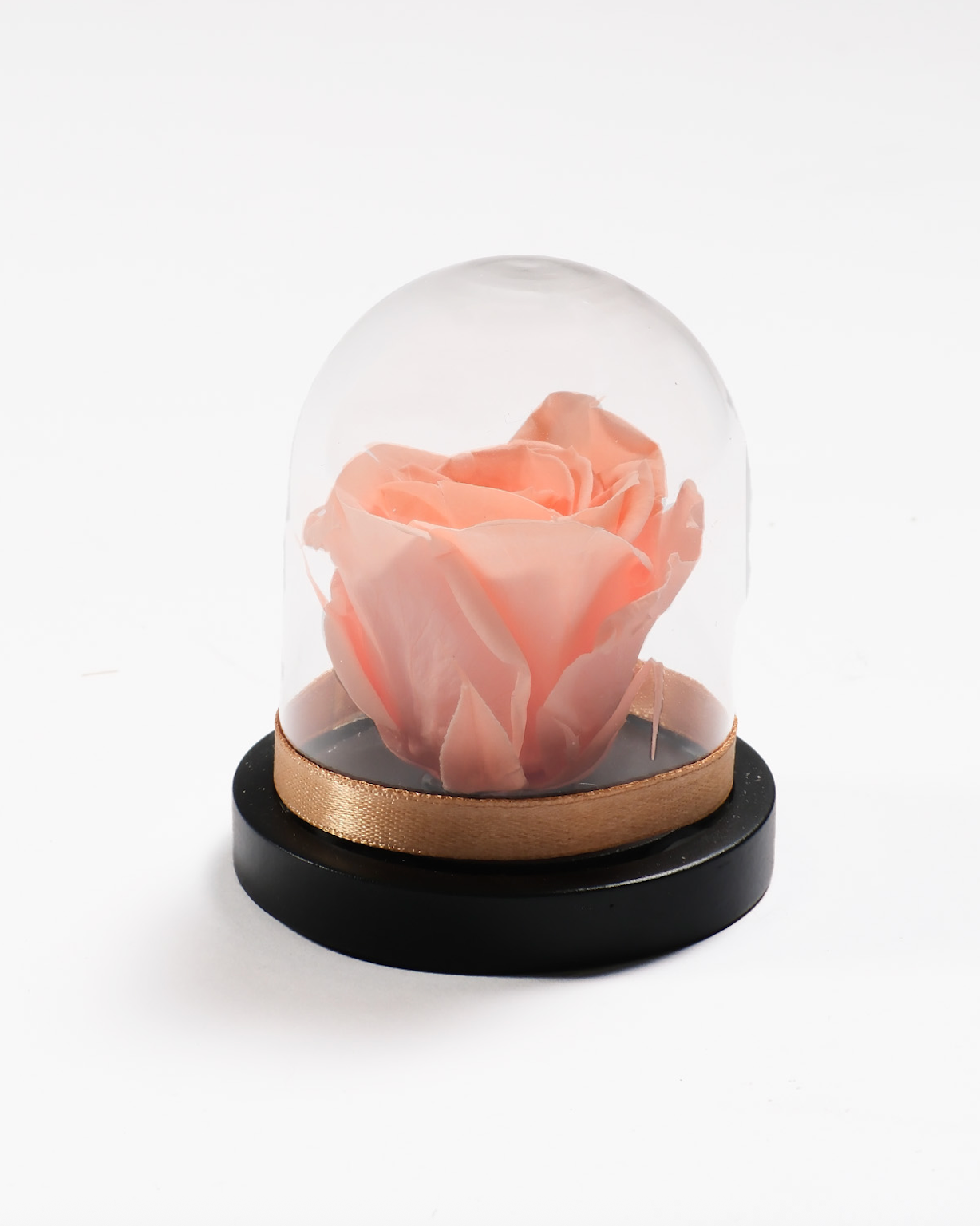 Mini Rose Dome