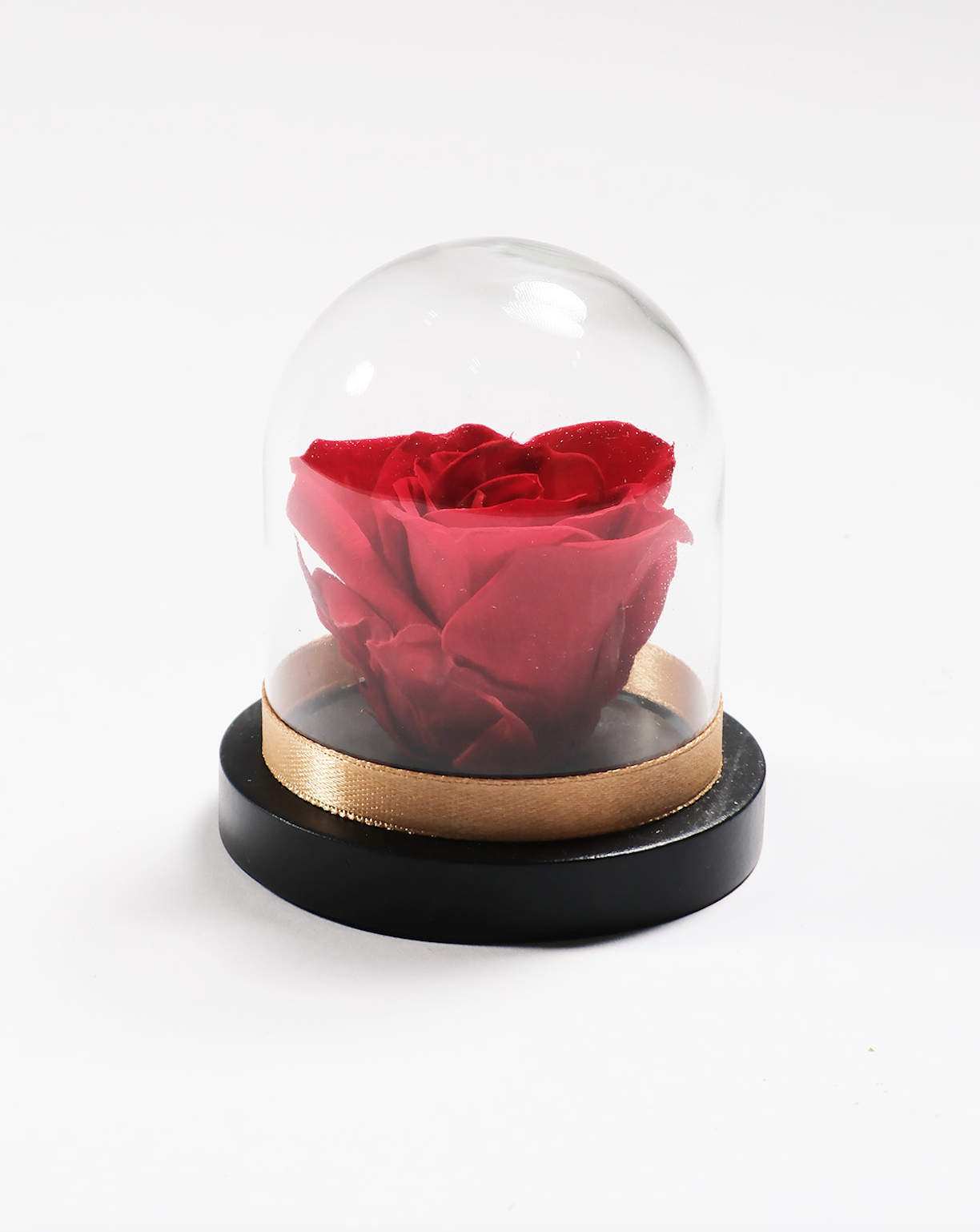 Mini Rose Dome