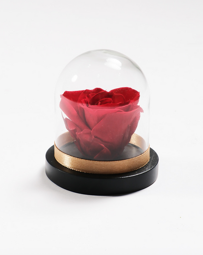 Mini Rose Dome
