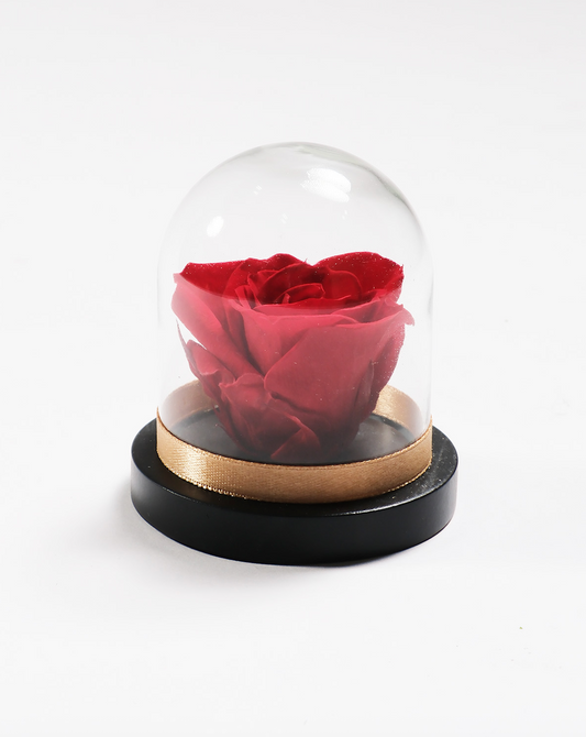 Mini Rose Dome