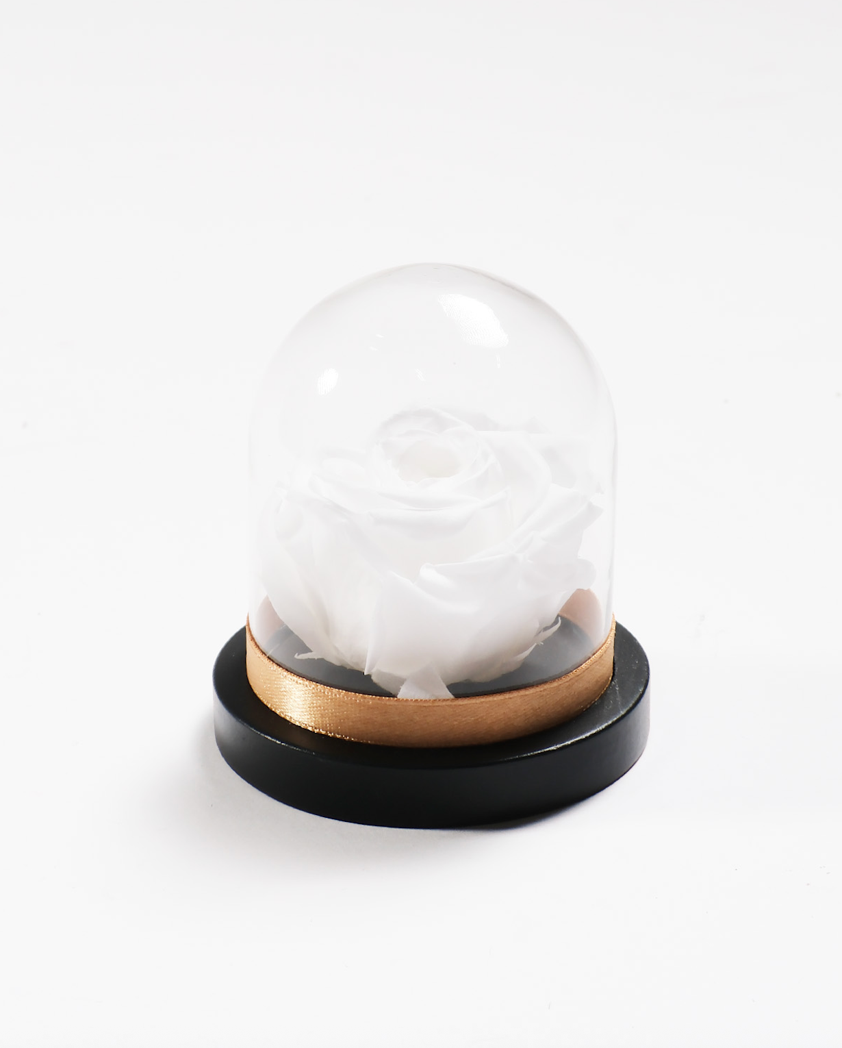Mini Rose Dome