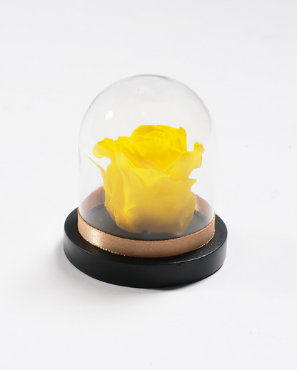 Mini Rose Dome