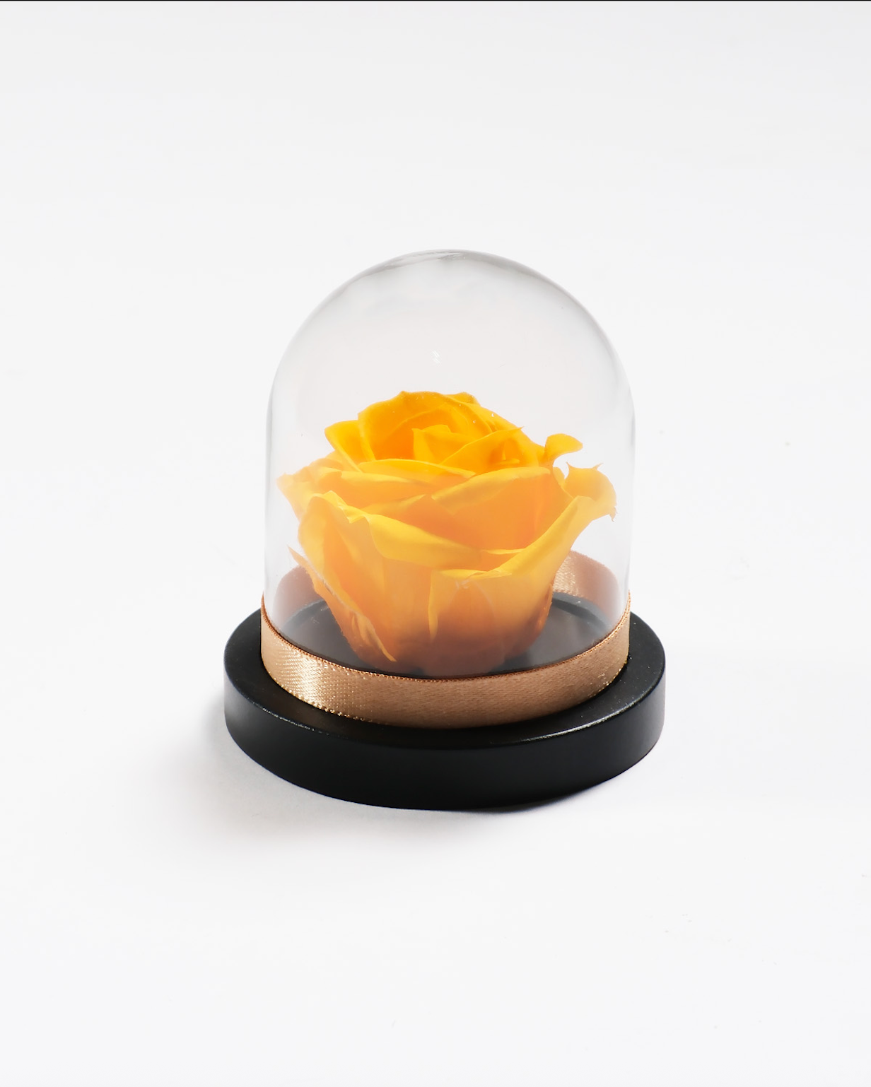 Mini Rose Dome