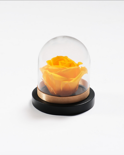 Mini Rose Dome