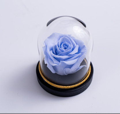 Mini Rose Dome