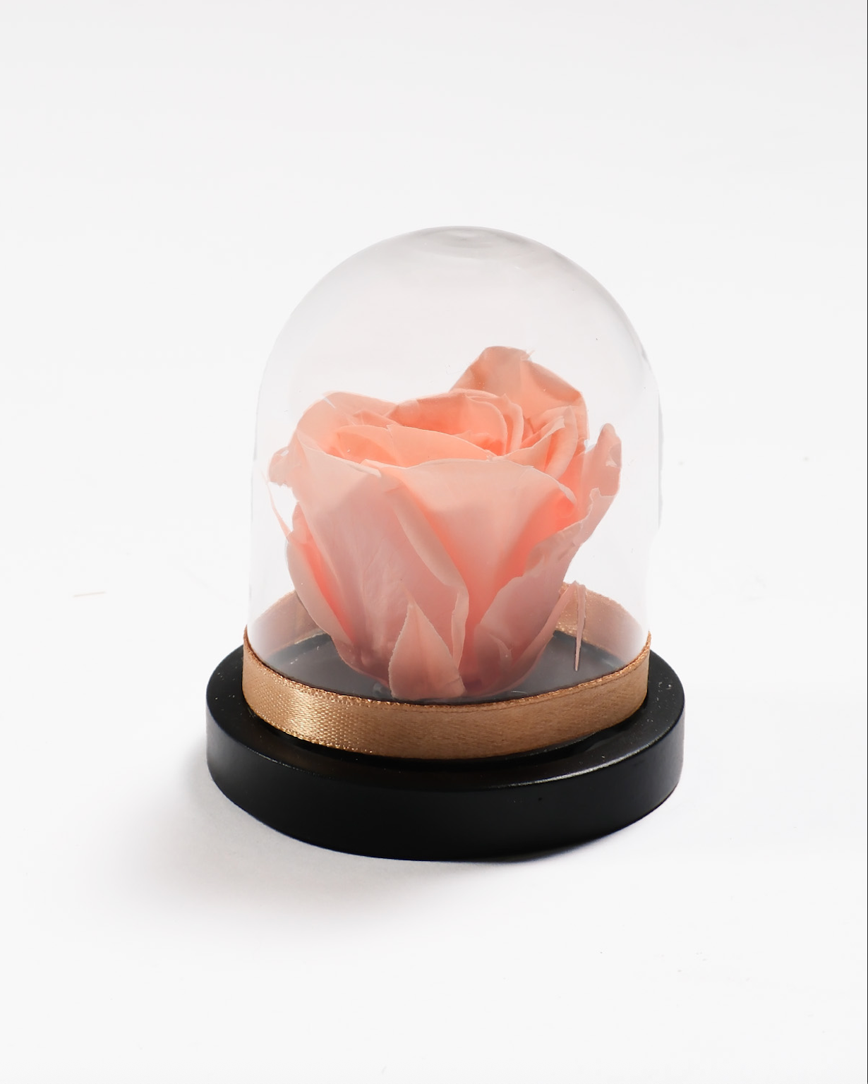 Mini Rose Dome