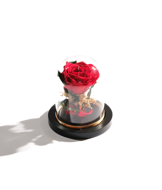 Large Rose Dome