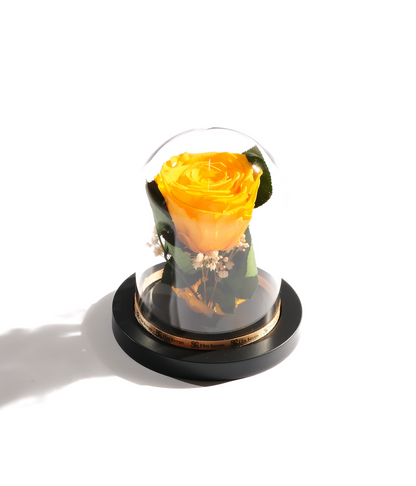 Large Rose Dome