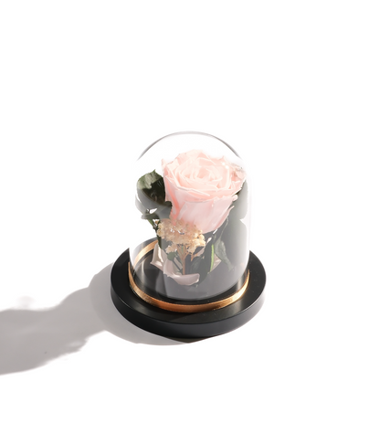 Large Rose Dome