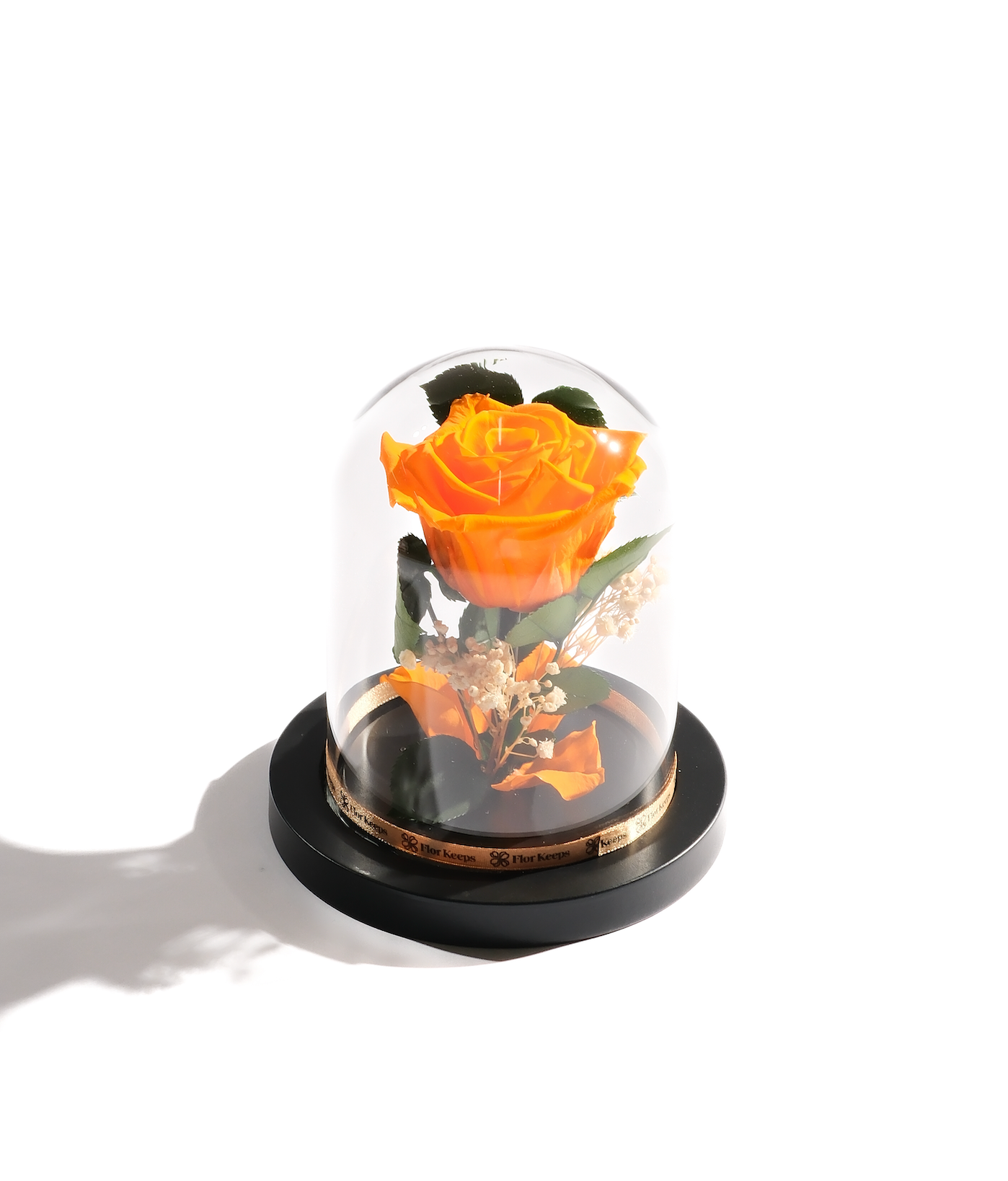 Large Rose Dome
