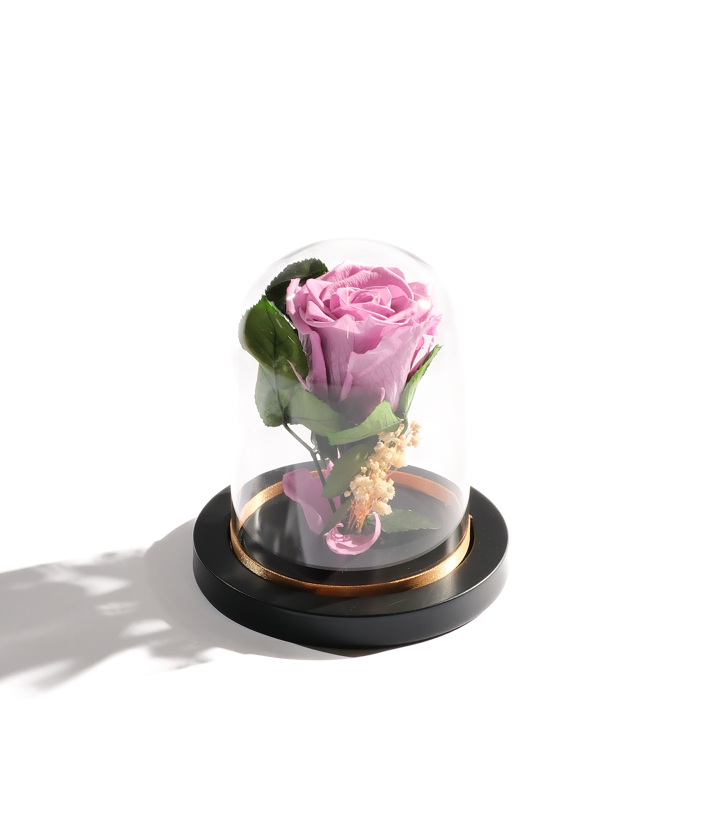 Large Rose Dome