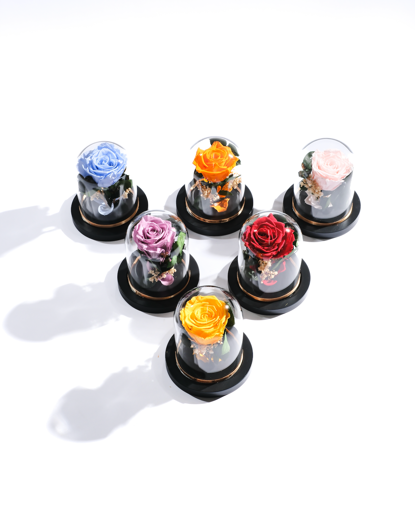 Large Rose Dome