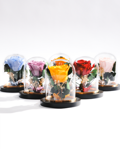 Large Rose Dome
