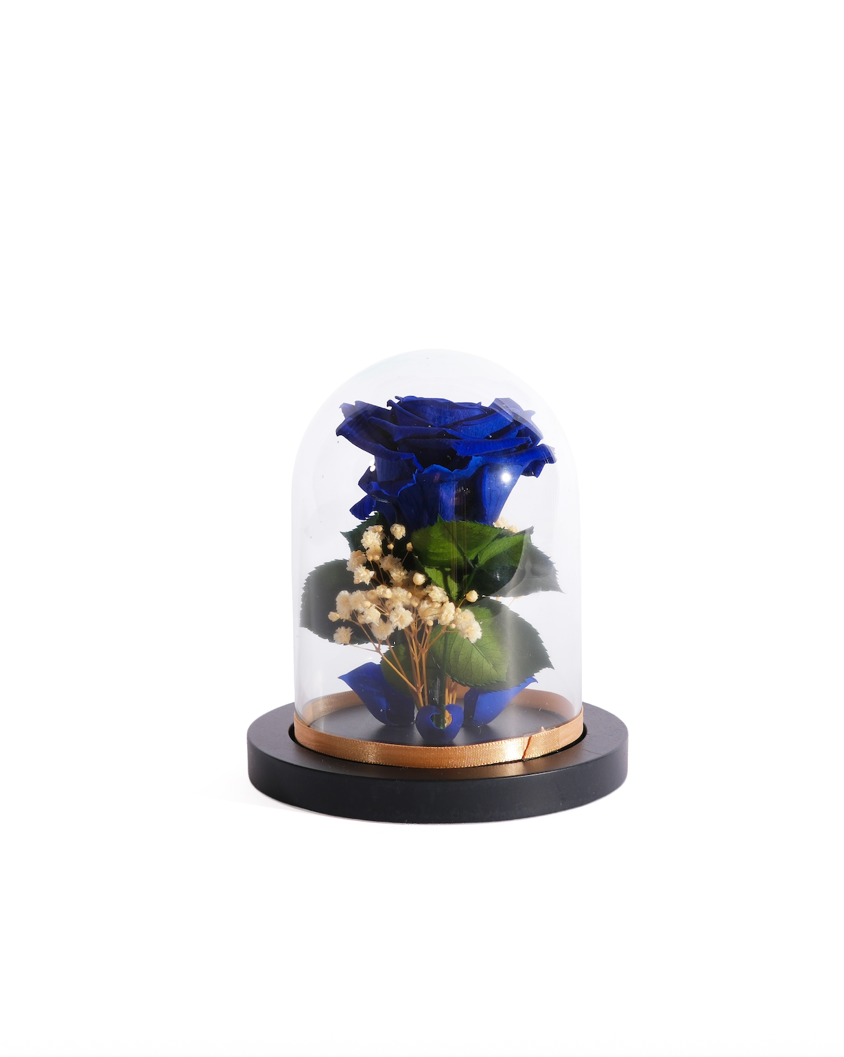 Large Rose Dome
