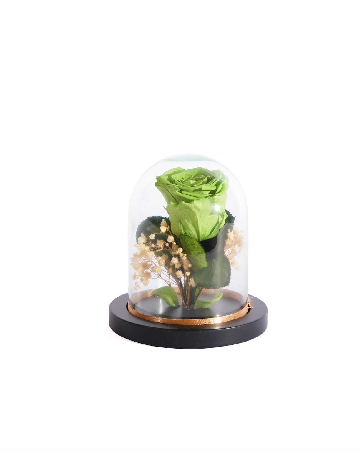 Large Rose Dome