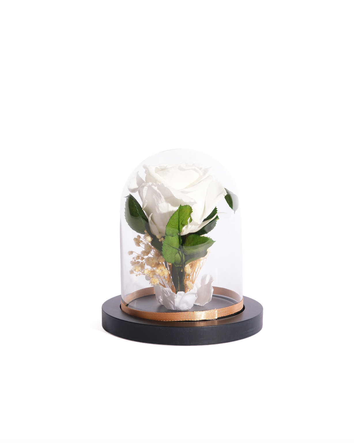 Large Rose Dome