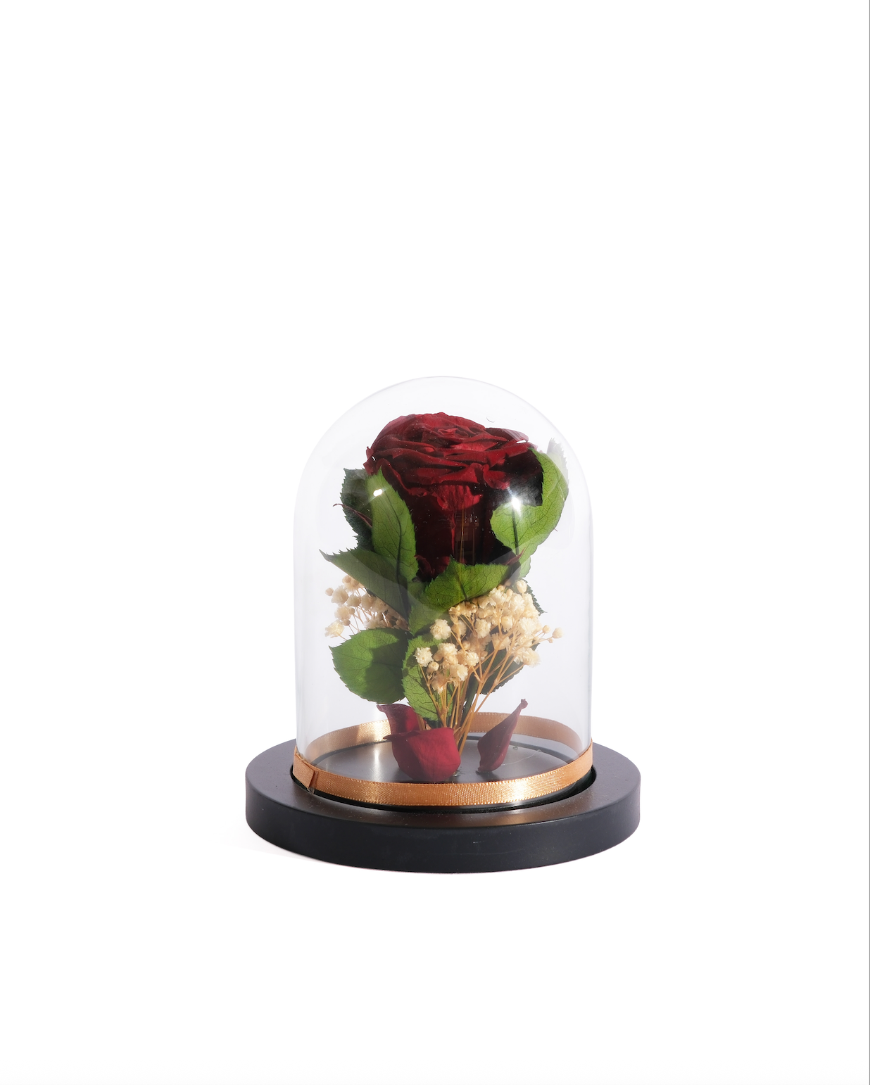 Large Rose Dome