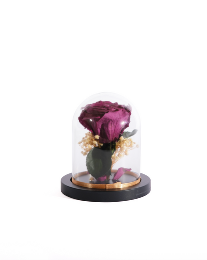 Large Rose Dome