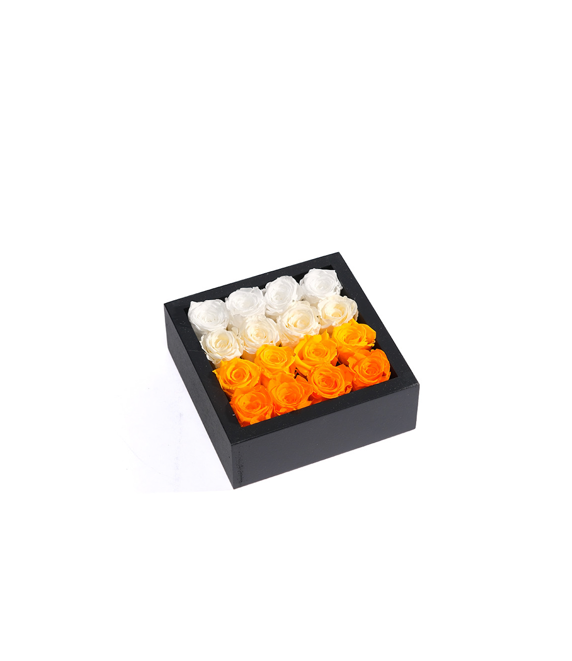 Bloombox - 16 Count