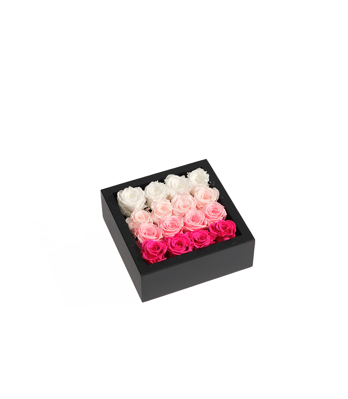 Bloombox - 16 Count