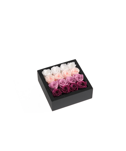 Bloombox - 16 Count