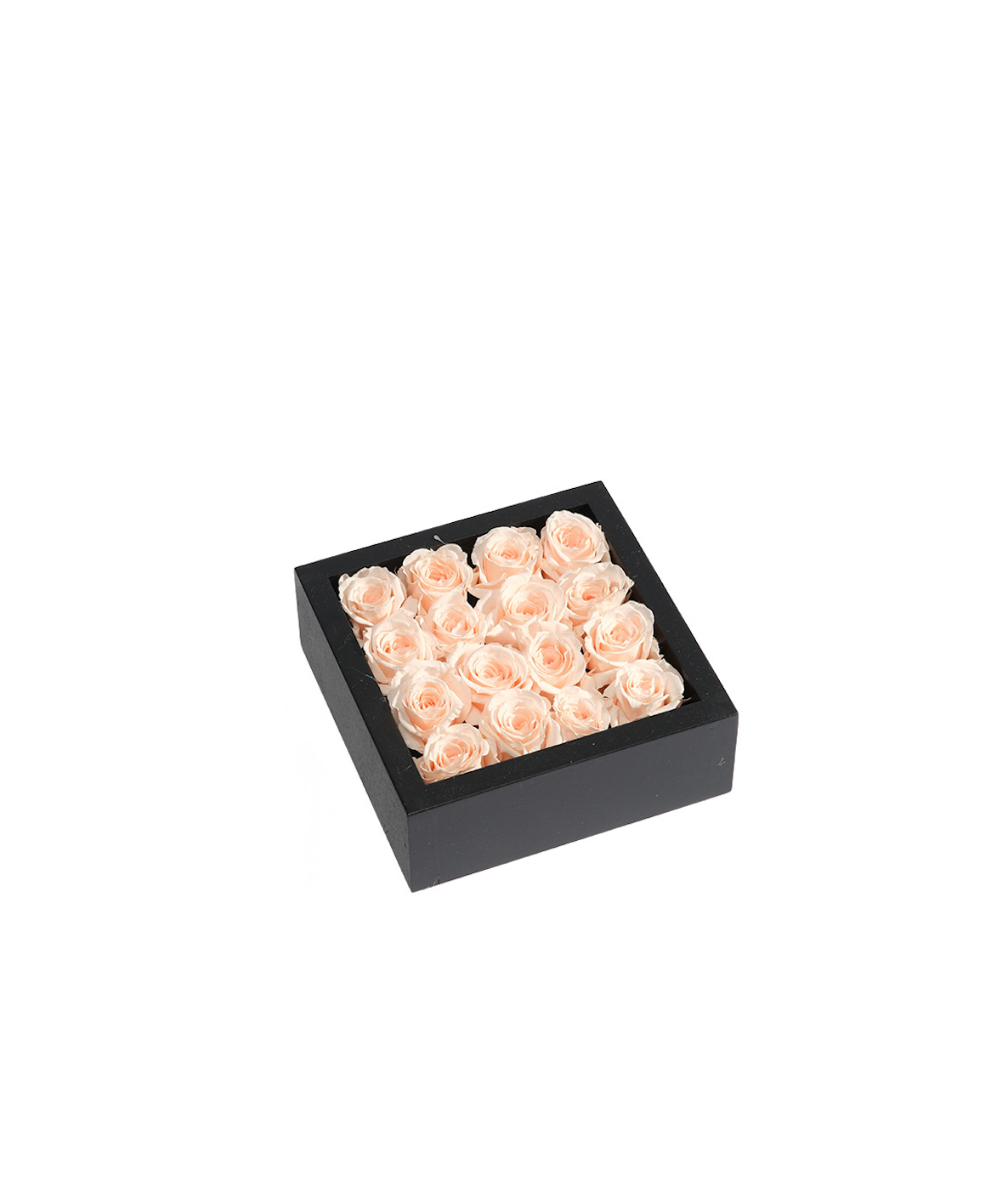 Bloombox - 16 Count