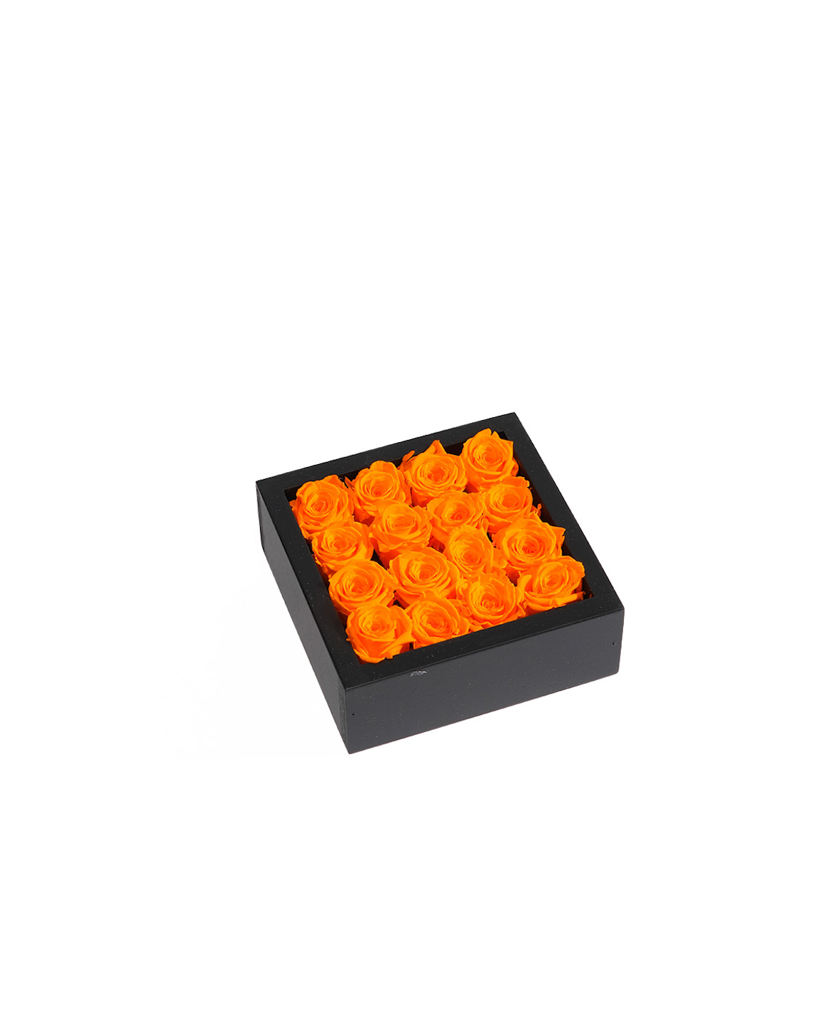 Bloombox - 16 Count