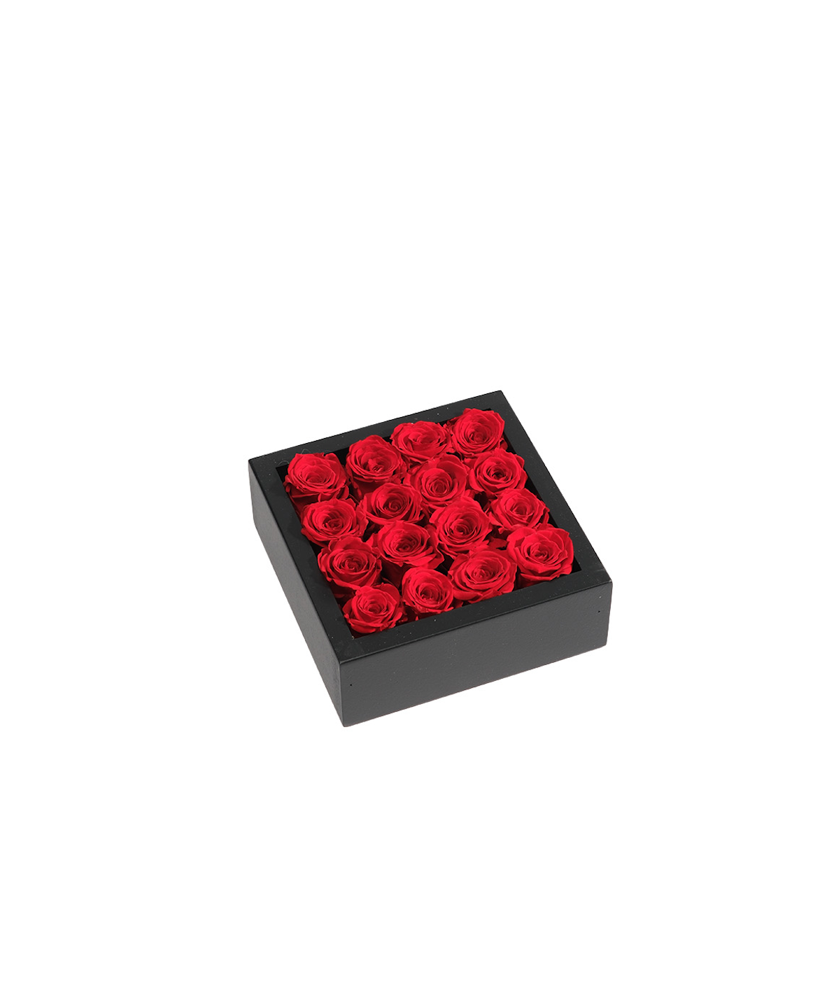 Bloombox - 16 Count