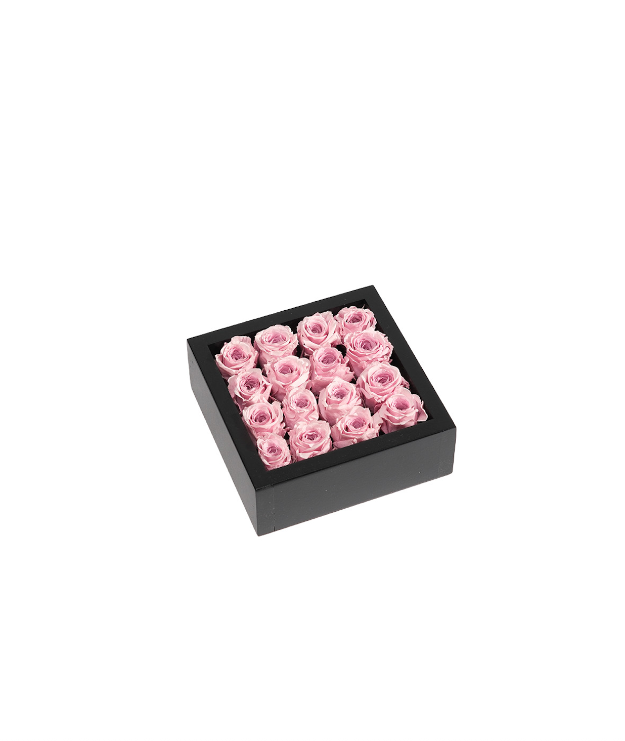 Bloombox - 16 Count