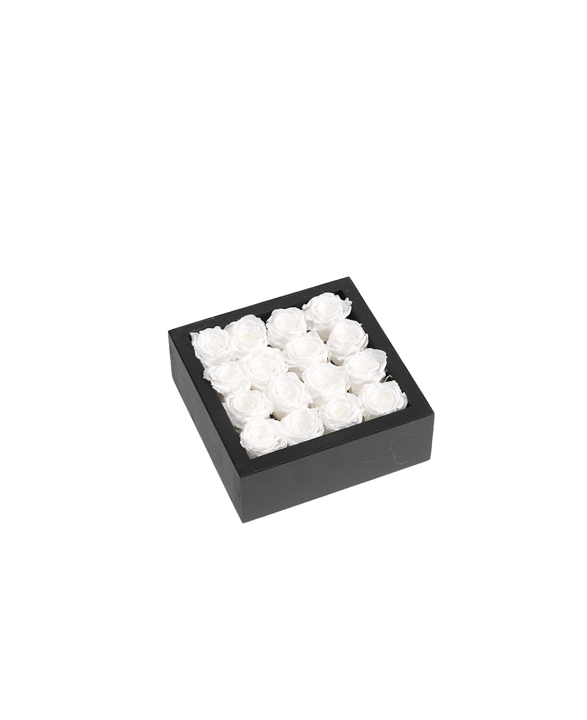 Bloombox - 16 Count