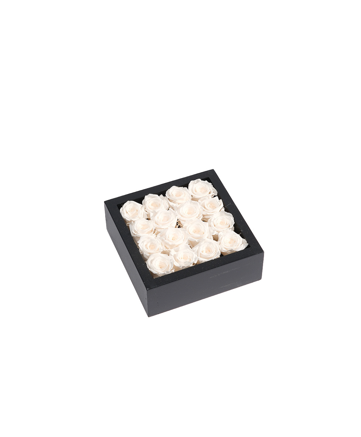 Bloombox - 16 Count