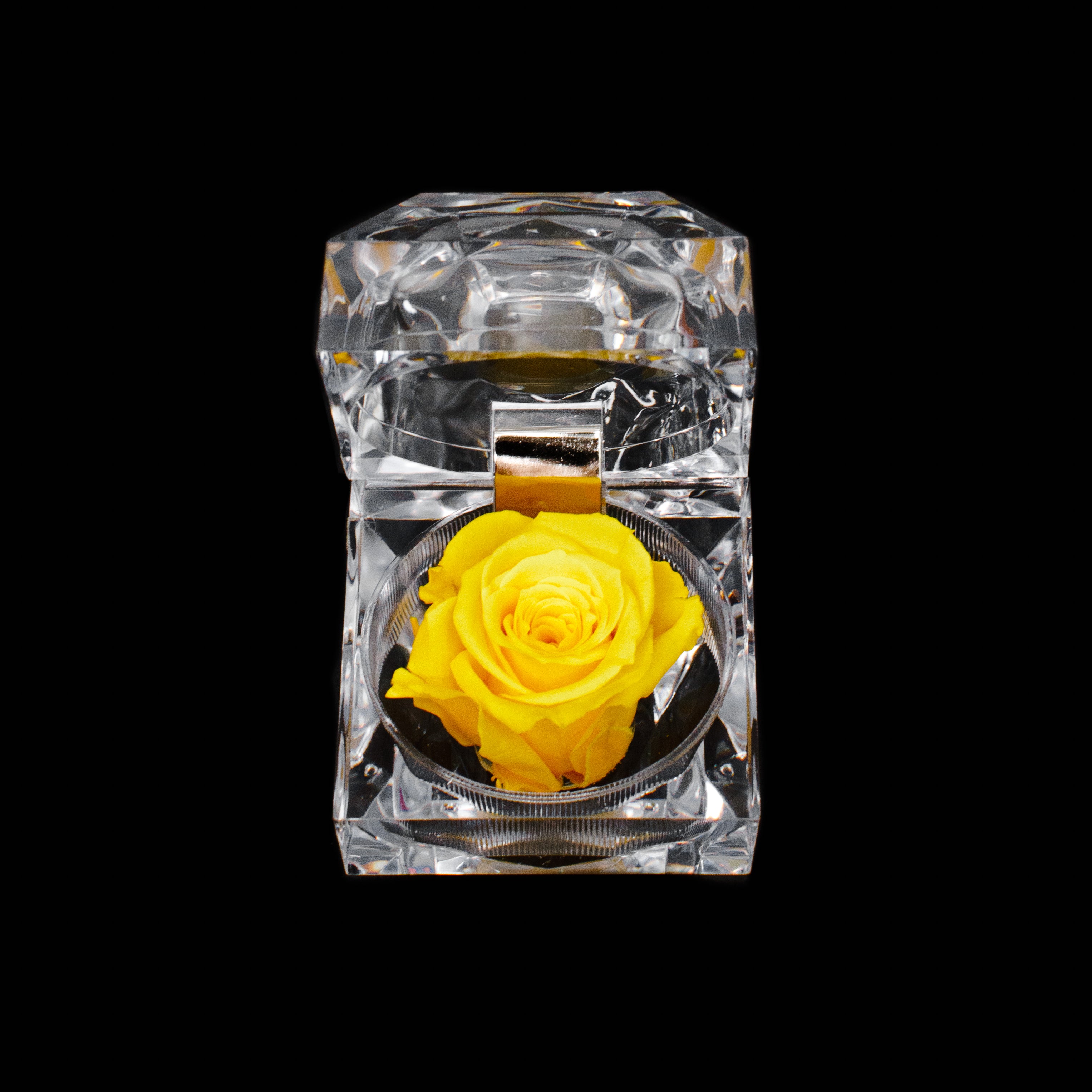 Rose Jewel Box