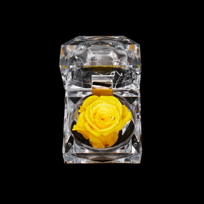 Rose Jewel Box
