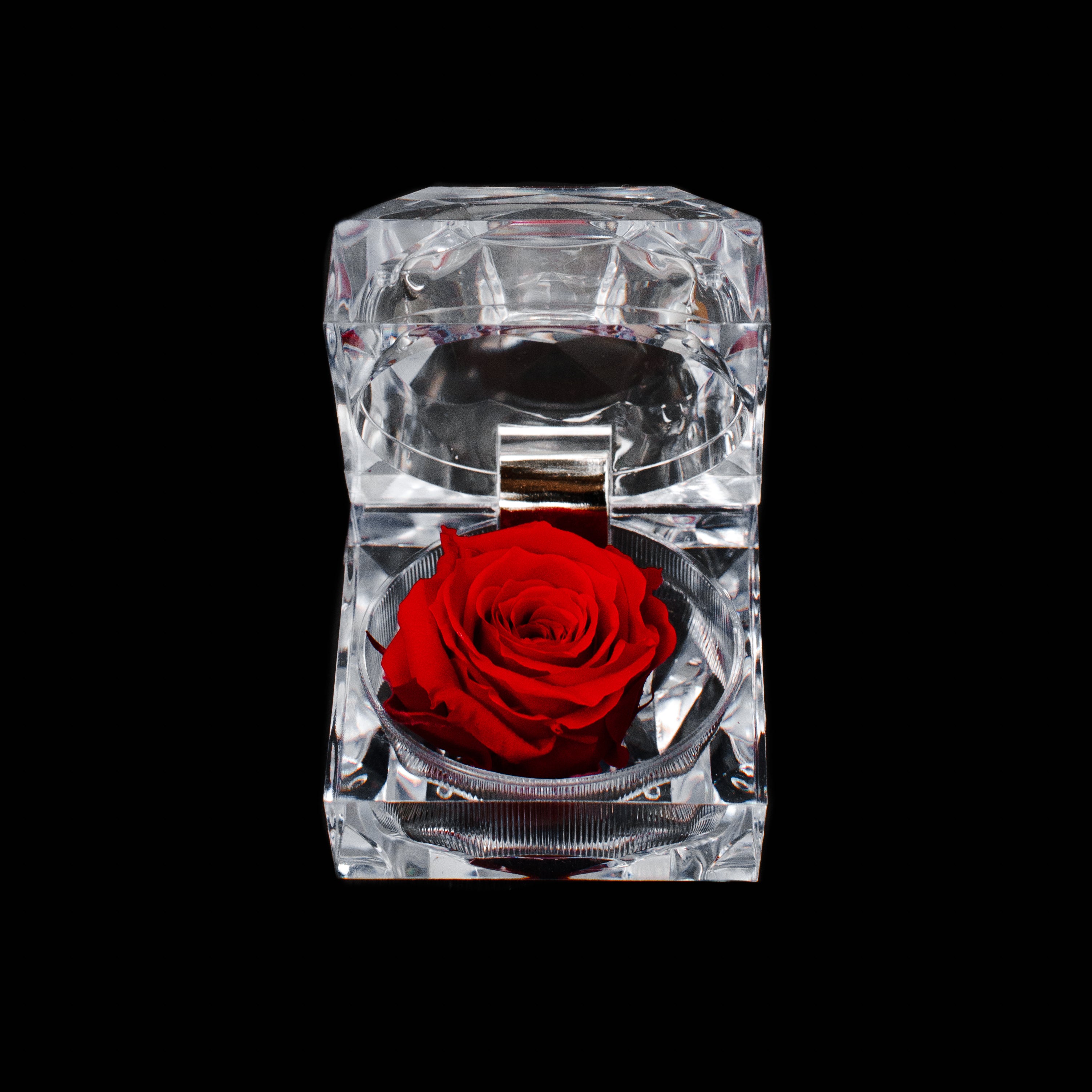 Rose Jewel Box