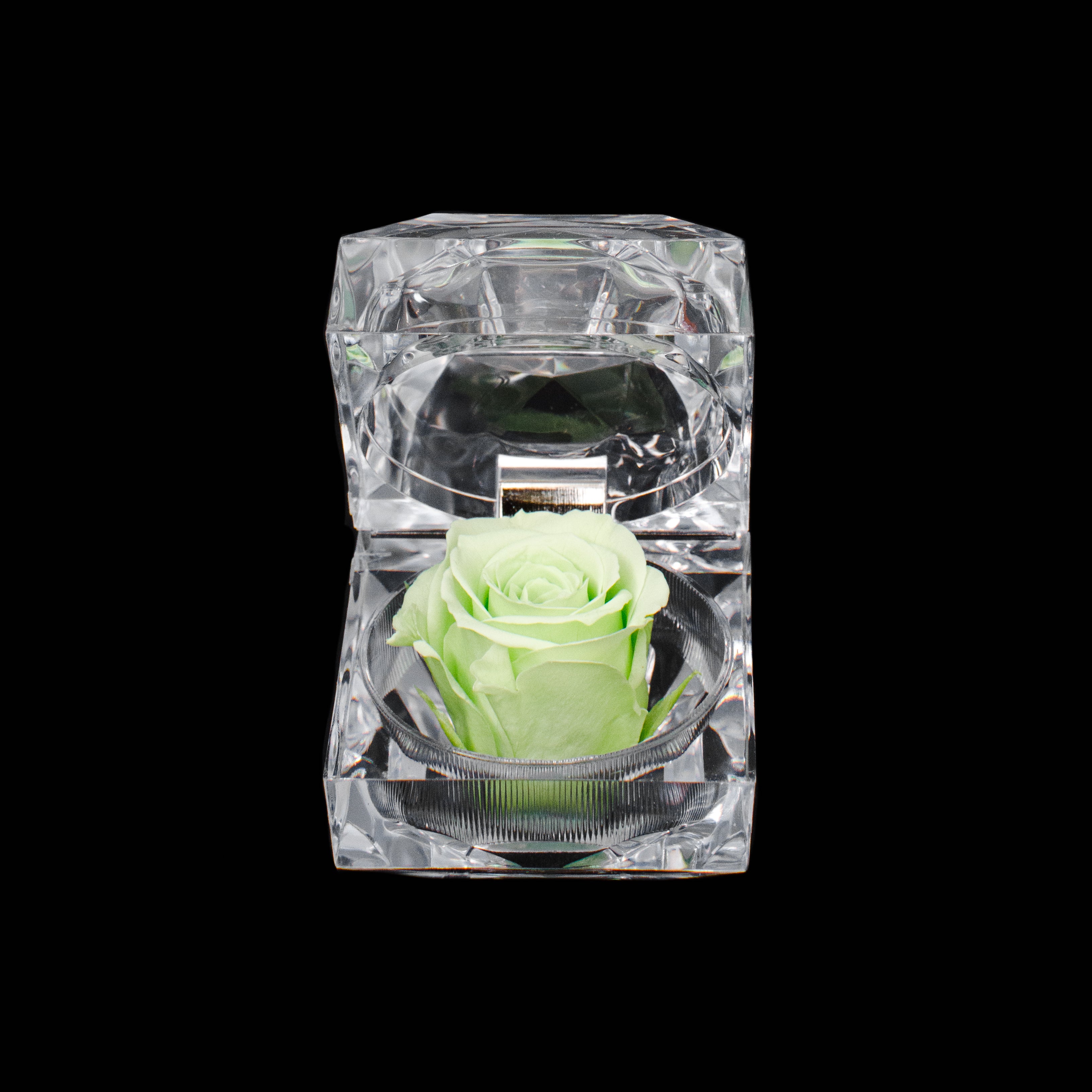 Rose Jewel Box