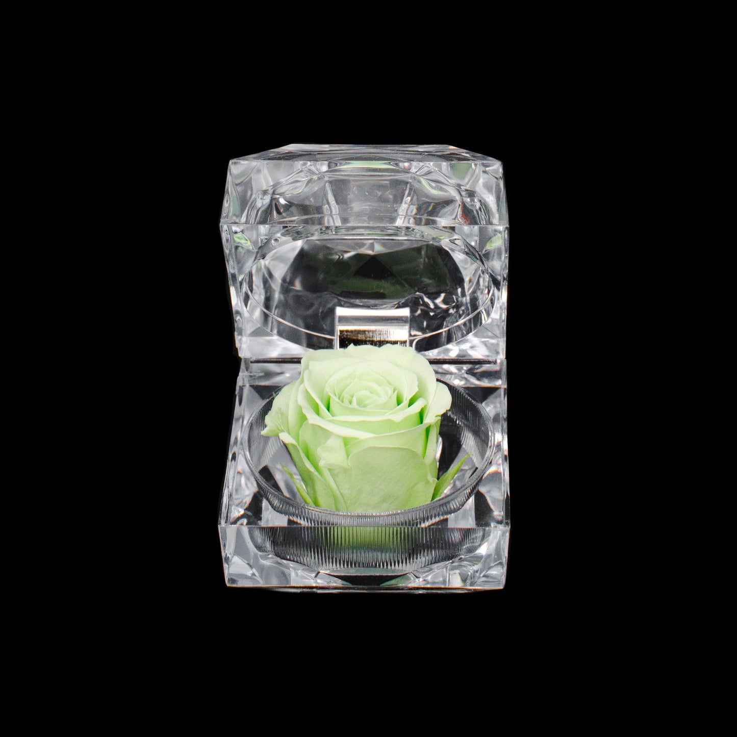 Rose Jewel Box