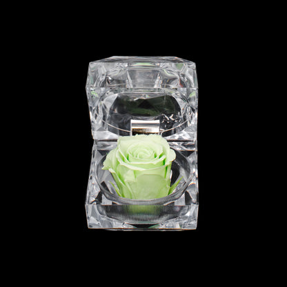 Rose Jewel Box